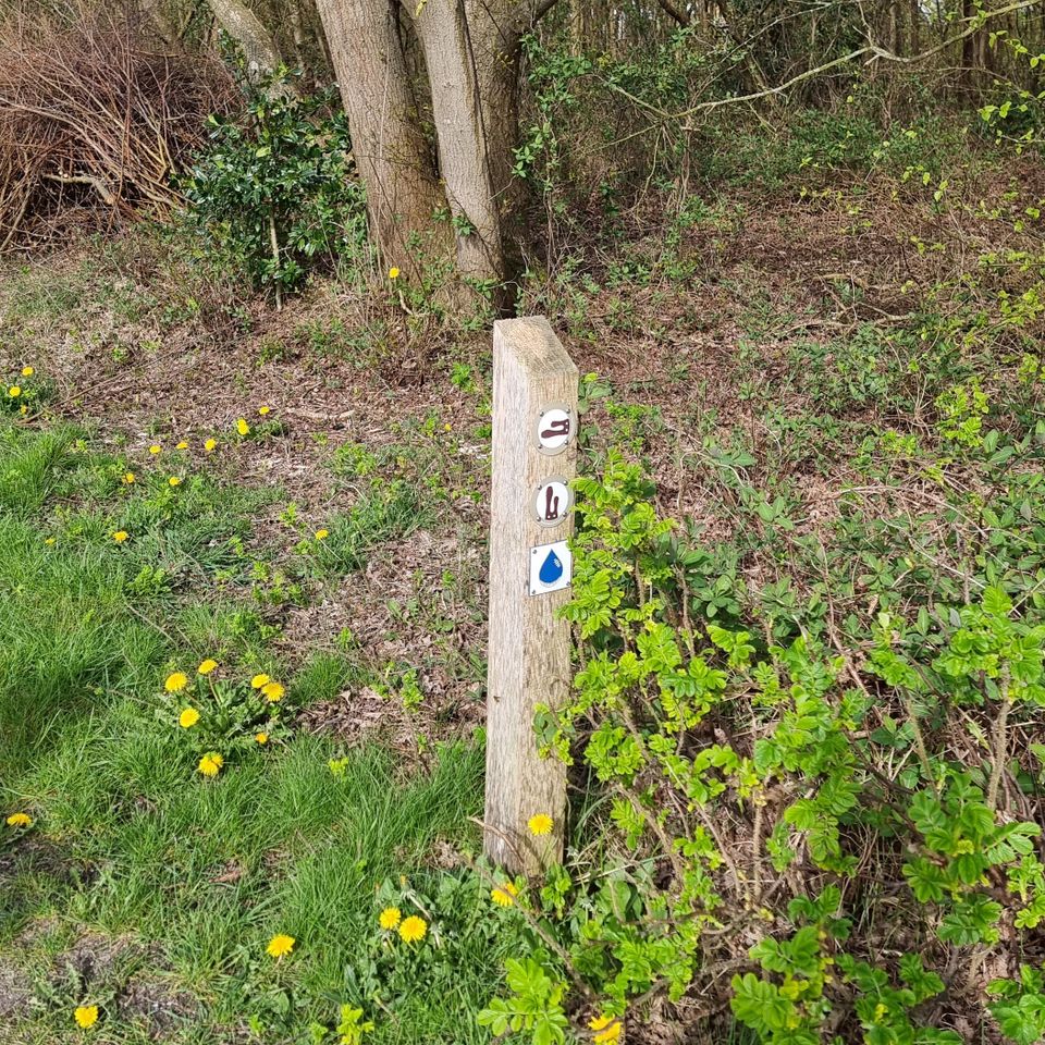 Stout Konijn Dwaalspoor 1