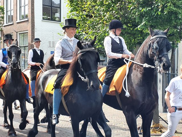 Optocht van de dameszadelclub op Friese paarden tijdens de Boerenbruilloft