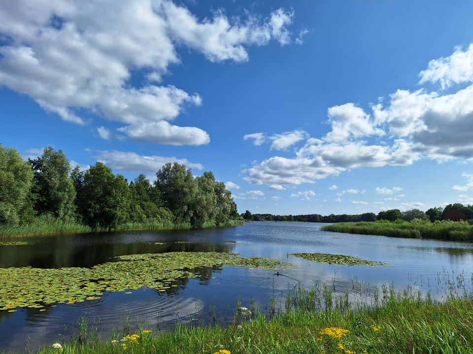 Rondom de Heide