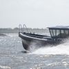 Ervaar de wadden, ga mee met onze snelle boot naar de zeehonden.