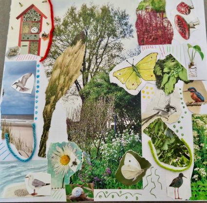 Foto van een collage gemaakt bij de creatieve workshop gegeven in Natuurcentrum Katwijk
