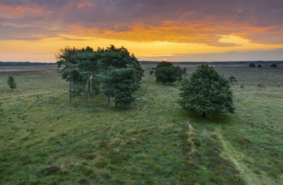 Doldersummerveld