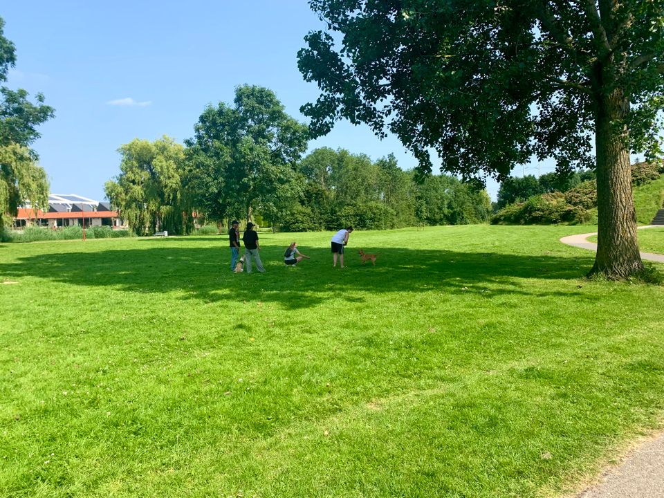 Foto van burgemeester hoekstrapark in Zoetermeer.