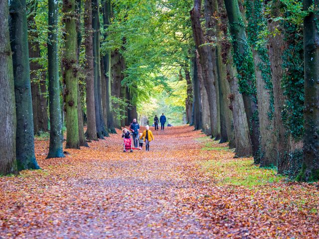 Herfst in Gaasterland