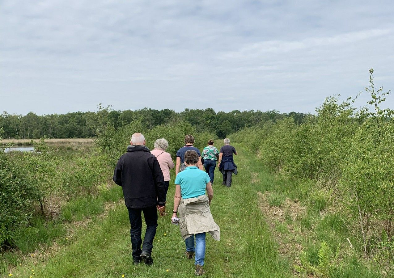 Walk English - Maandelijkse wandeling
