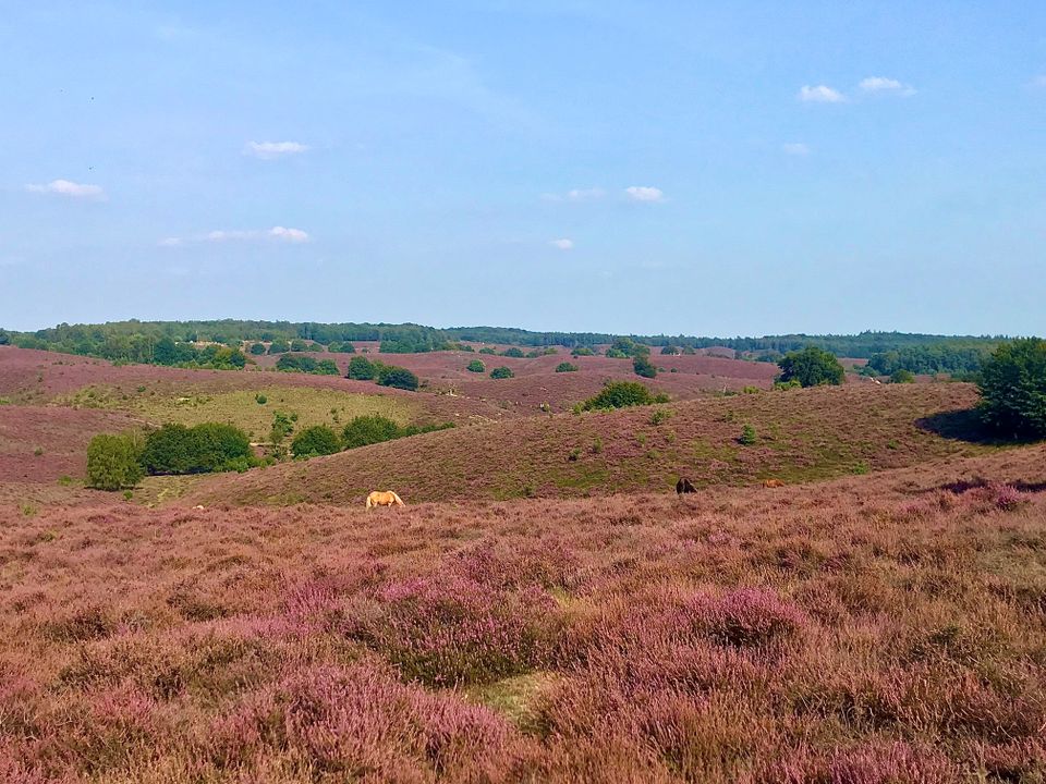 Fietsroute Posbank Eerbeek