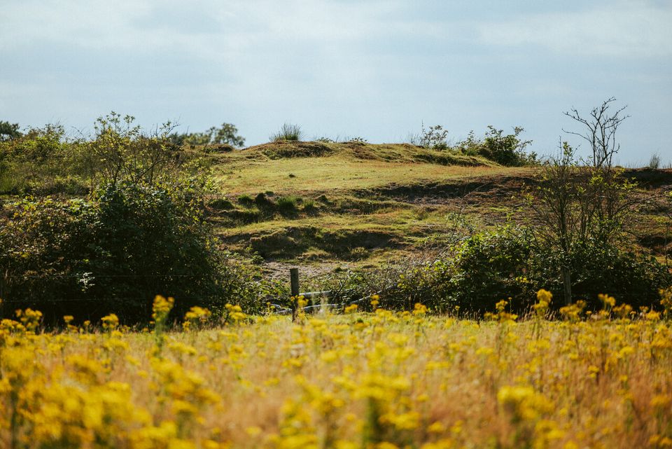 Landschappelijke verhoging aan rand van de Groote Peel