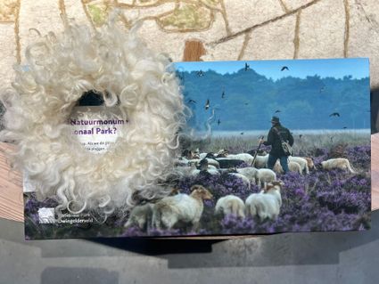 Workshop Winterwolkrans