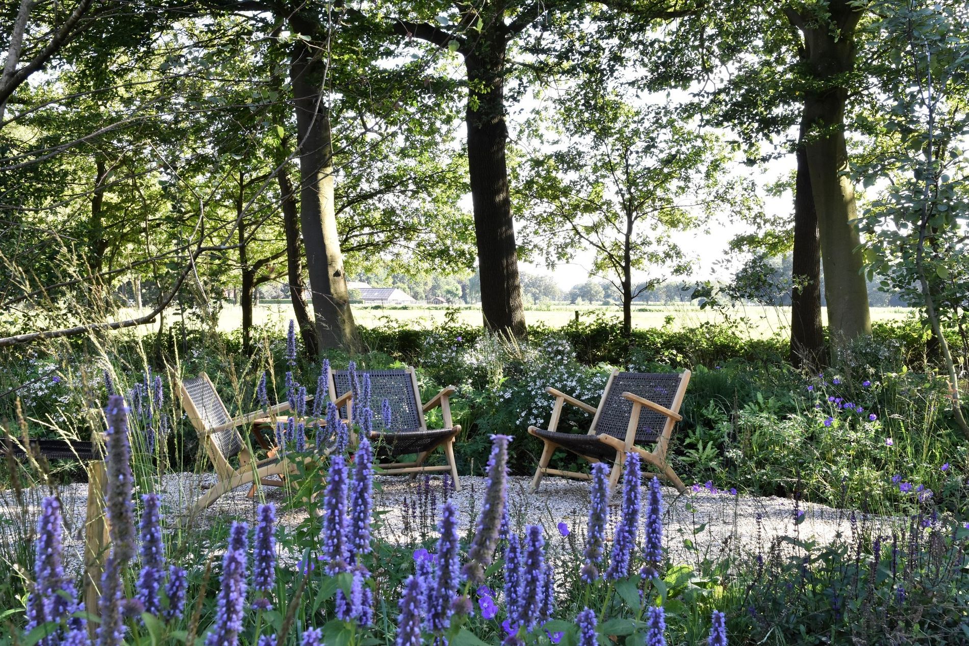 Natuurfoto met op de voorgrond paarse bloemen en daarachter in het midden een zitje.