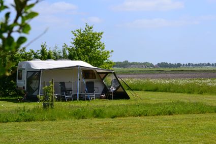 Voorjaarsgroen