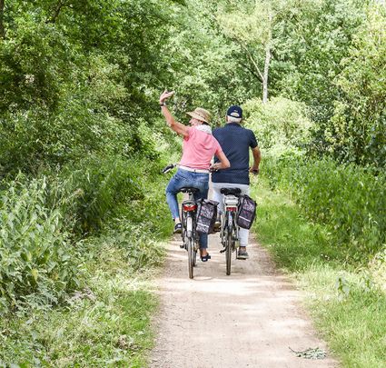 Ontdek mooie fietsroutes in Utrecht.