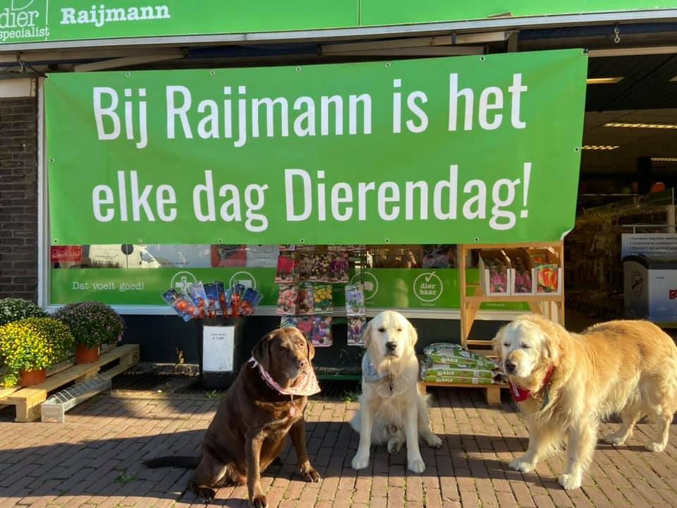 Dierspecialist Raijmann