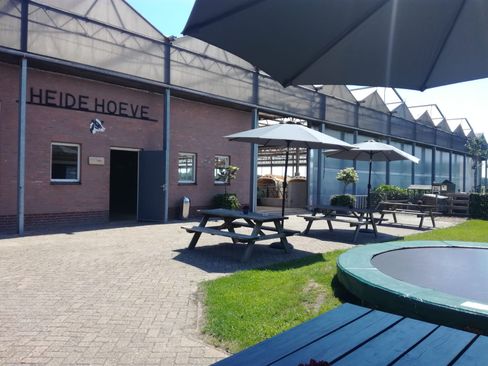 heidehoeve-ice-cream-farm-visitbrabant