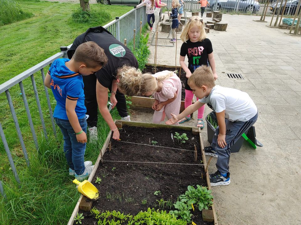 Foto van kinderen die les krijgen in een moestuin
