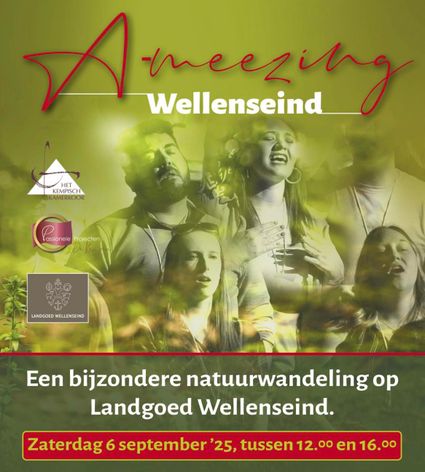 Muzikale Wandeling