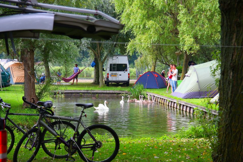 Mensen die aan het parkeren zijn bij Camping het Rietveen