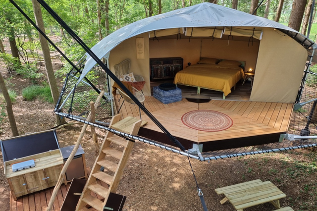 De knus ingerichte dom'up op Camping Torentjeshoek, een tent die op hoogte hangt tussen de toppen van de bomen.