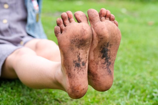 Blote voetenpaden in het Land van de Peel