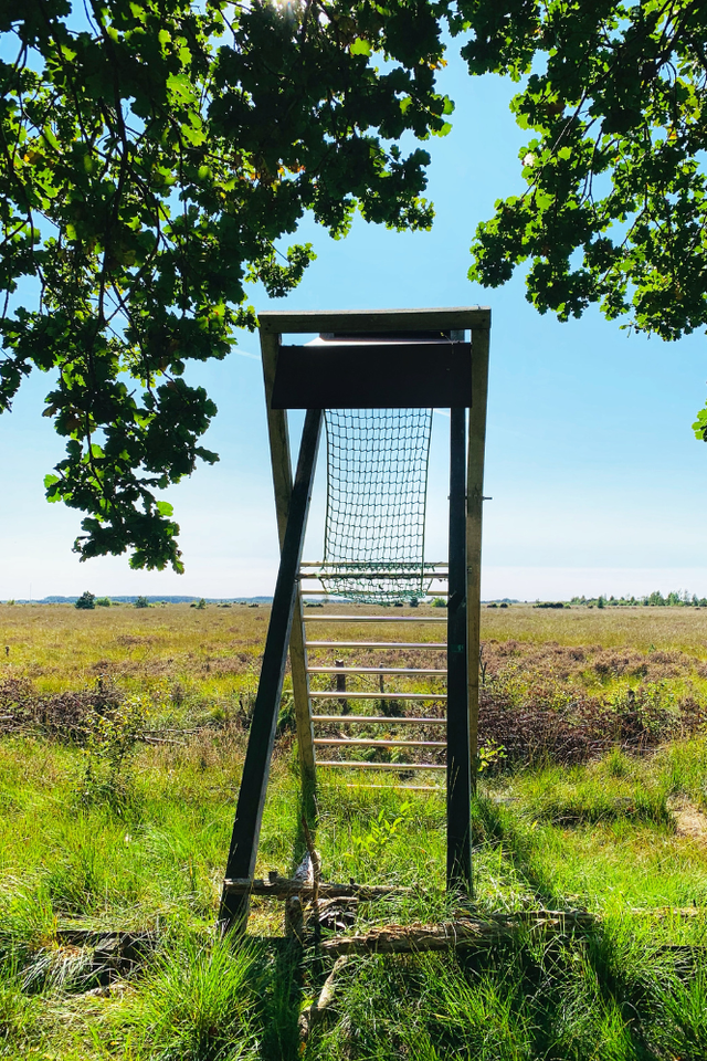 Ein aussichtsturm in Fochteloërveen