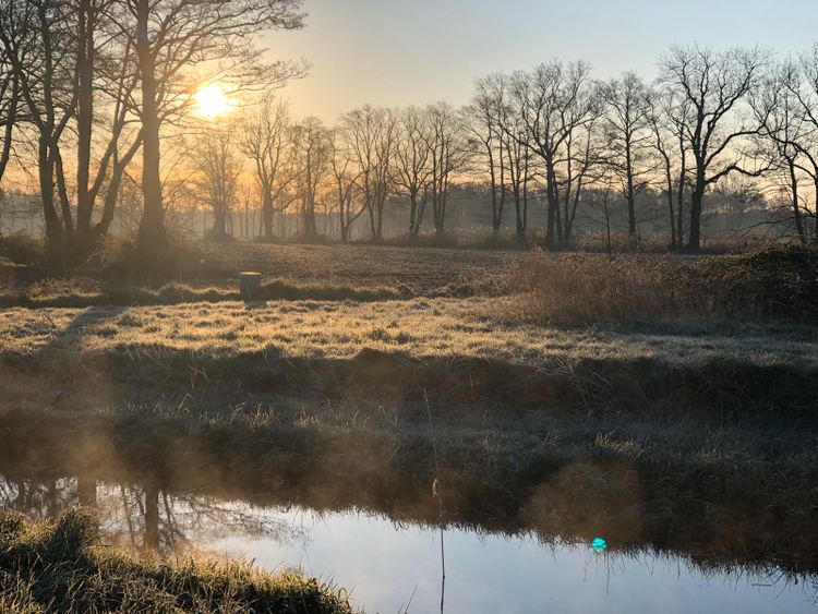 Natuurgebied De Berken Liessel