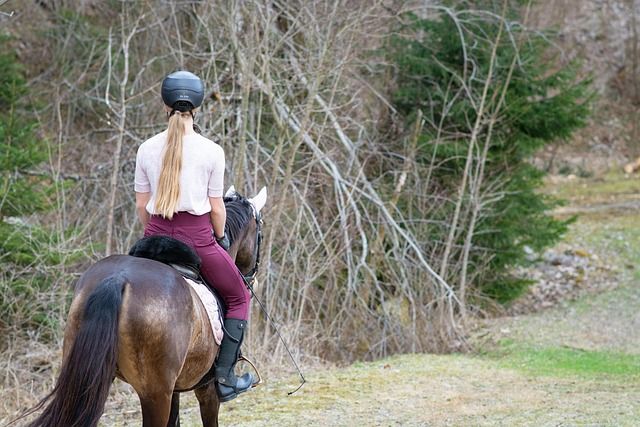 Dame op een paard rijdt in de natuur