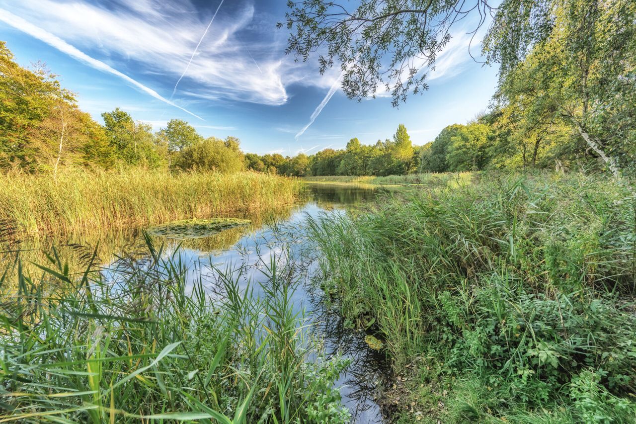 tenellaplas
buitenweer