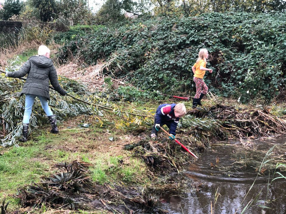 Natuurwerkdag Vlindertuin Lemmer aan de slag met het schoonmaken van de poelen