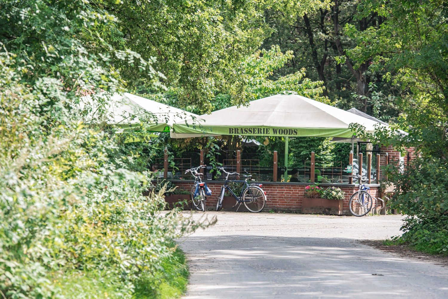 Heerlijk terras bij Brasserie Woods