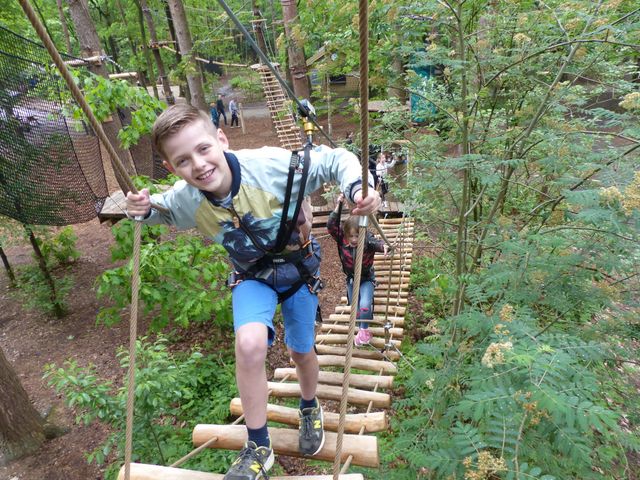 Kinderen klimmen gezekerd over een hoog houten parcours tussen de bomen in het Klimbos Zeist. De foto toont een sportieve en avontuurlijke activiteit voor kinderen in een groene bosomgeving.