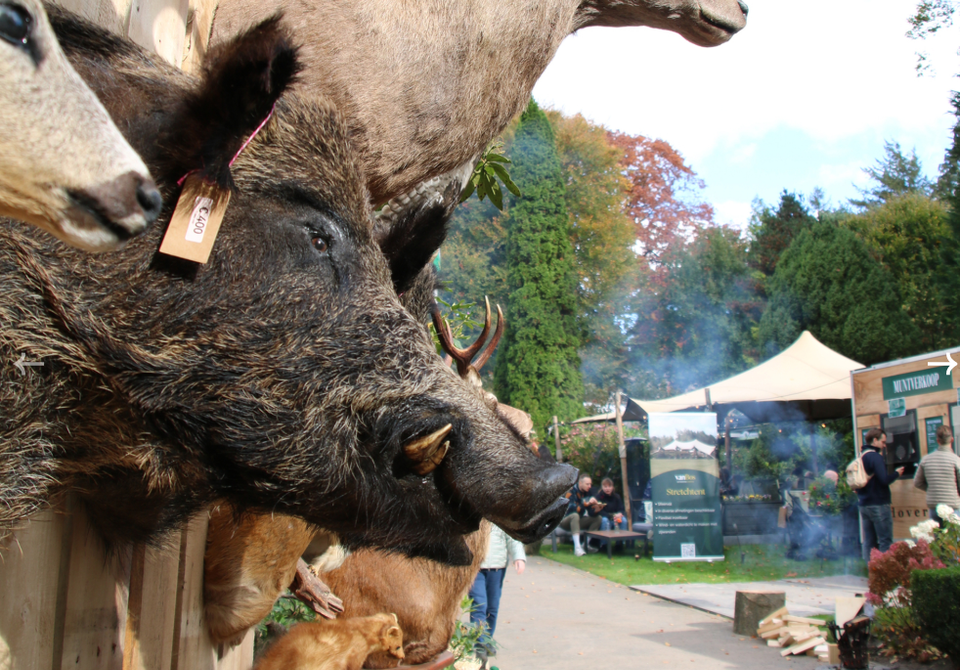 Wildfair met kraampjes in herfstsferen