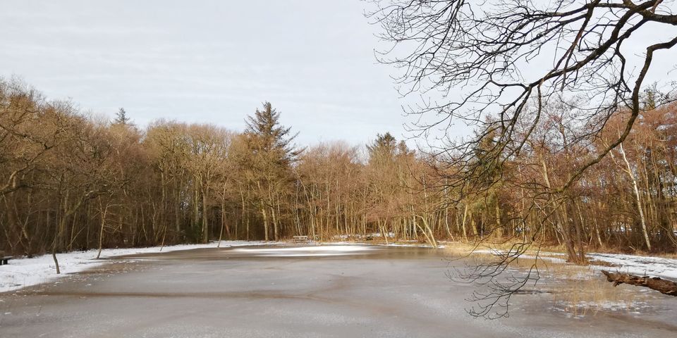 Klaas Douwesvijver Vlieland in de winter