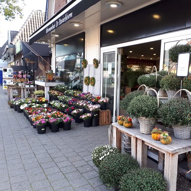 Bloemhuis De Passiebloem