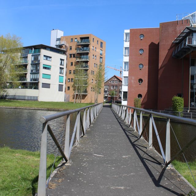 Jonge Japanse Notenbomen aan de andere kant van een lange brug