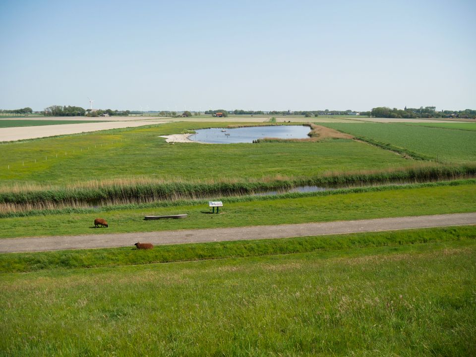Dyksputten