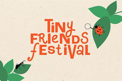 logo Tiny Friends Festival: tekening met een lieveheersbeestje en een mier op een blaadje