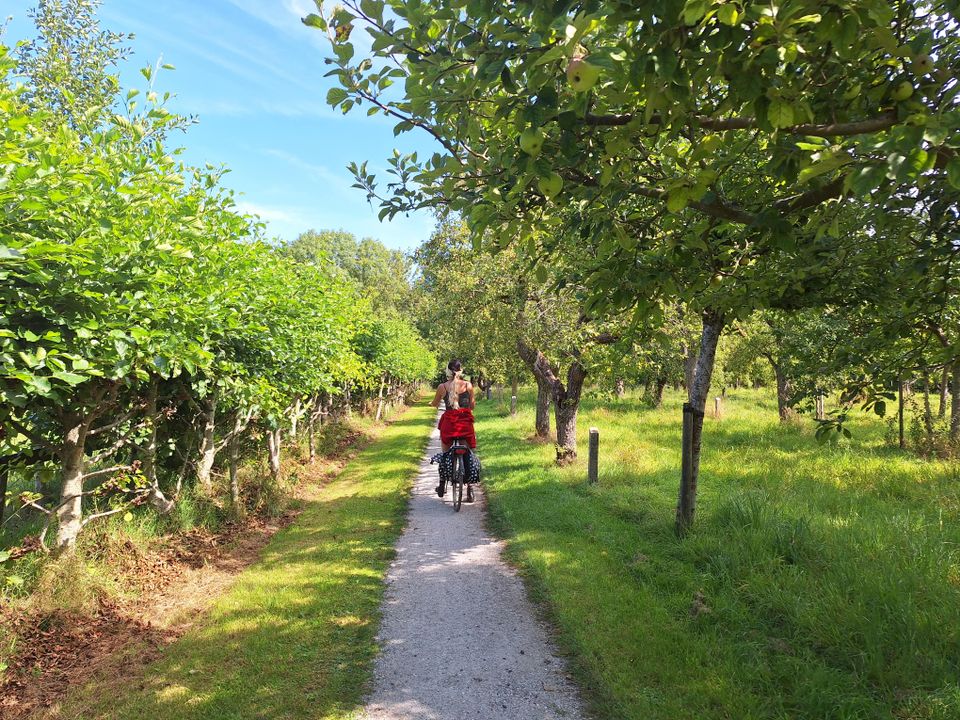 Etappe 3: Harlingen - Dokkum | Elfstedenfietsroute