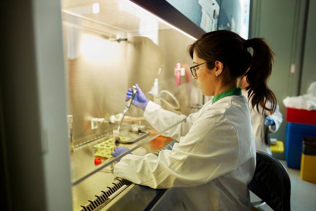 Lab