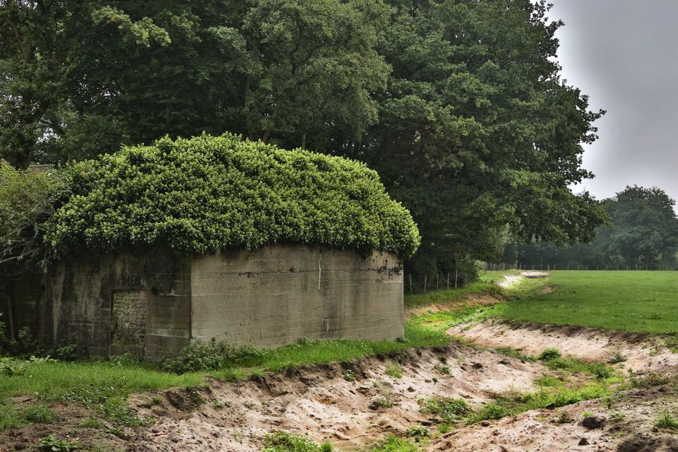 Fort Coehoorn met planten begroeide bunker met naast de bunker een wandelpad