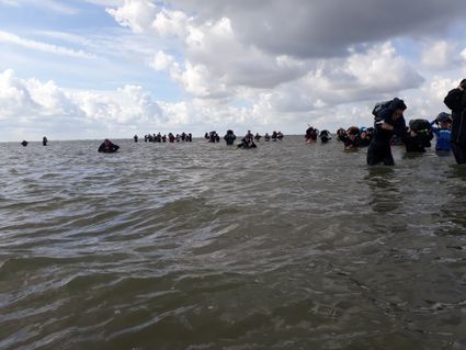 Wadlopen naar Schiermonnikoog (Brakzand)