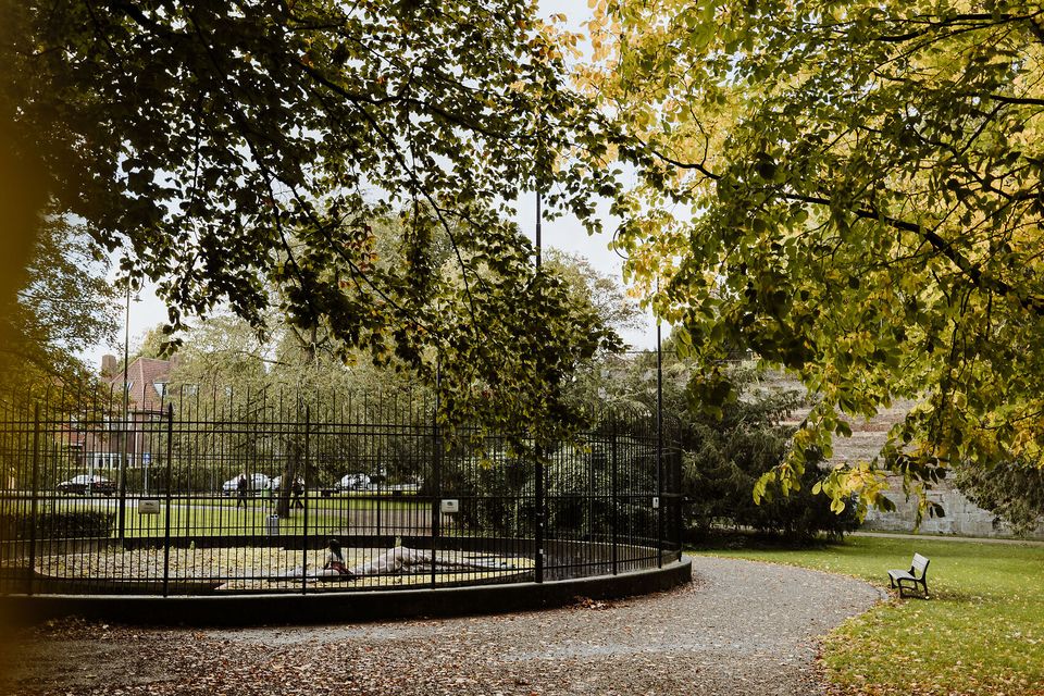 stadspark Maastricht berenkuil hek