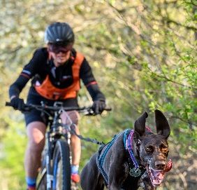 De 1e foto is de bike/step klasse, hier met de fiets.