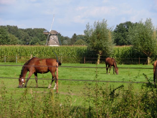 Wim Vloet was mede-oprichter en voorzitter van het IVN Bakel, Milheeze en De Rips.