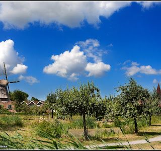uitzicht stadspark montfoort