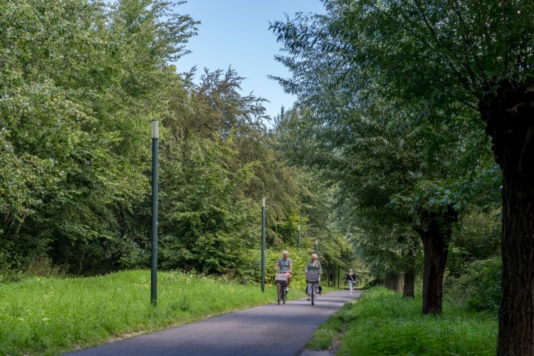 Fietsen door de Laone in Renesse Op Schouwen-Duiveland