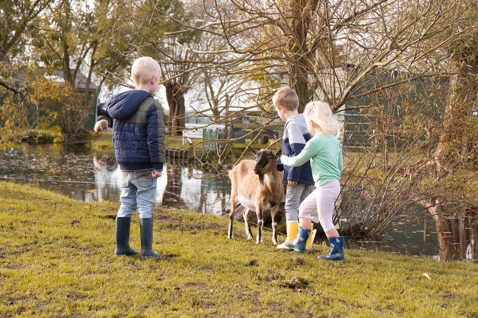 Boerderij De Boerinn, Kamerik, Groene Hart, kinderen aaien een geit tijdens een familie-uitje op het erf aan het water met weiland en bomen op de achtergrond.