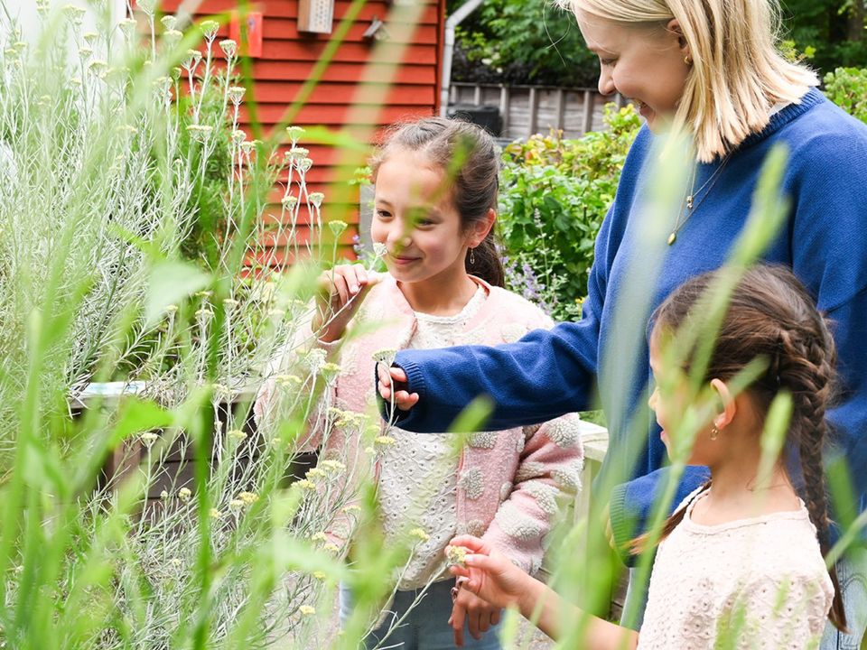 Drie zusjes bij de Papaver in Delft
