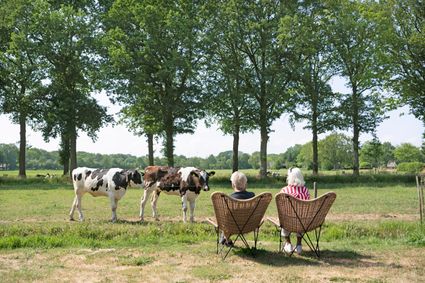 Twee mensen in een grote stoel die genieten van het uitzicht vanuit de Paardenstal in Hoeve Koning Willem III