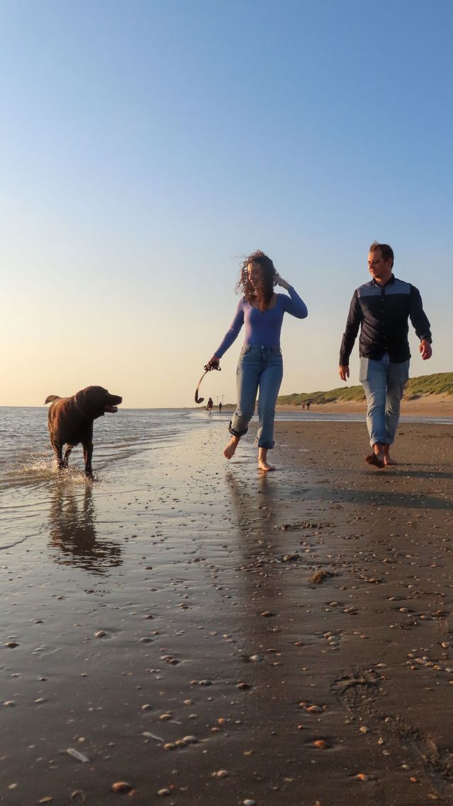 Wandelen strand
Rockanje
Koppel
Hond
Kust