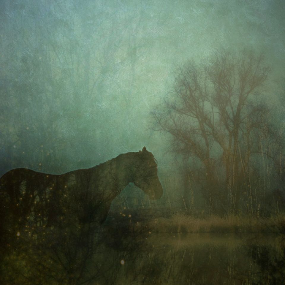 Fotografie Els Brouwer - Spiegel