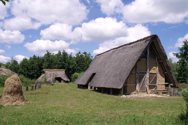 Boerderij met rieten dak en lemen muren, omringd door gras en kleine gebouwtjes op het erf.